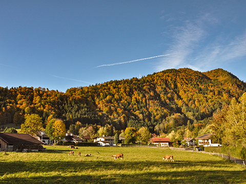 schlossblick_08