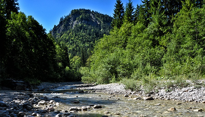 Tegernseer Impressionen Copyright Gerlind Schiele Photography Tegernsee +49 (0) 170 - 908 85 85